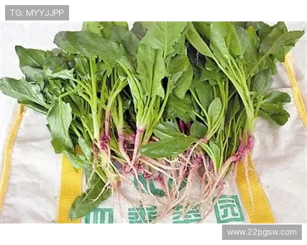 探索vp菠菜网：安全可靠的在线菠菜平台